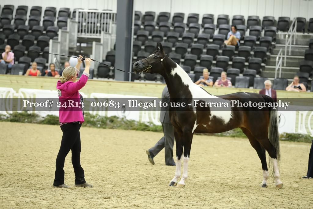 Proof 24R13_00683