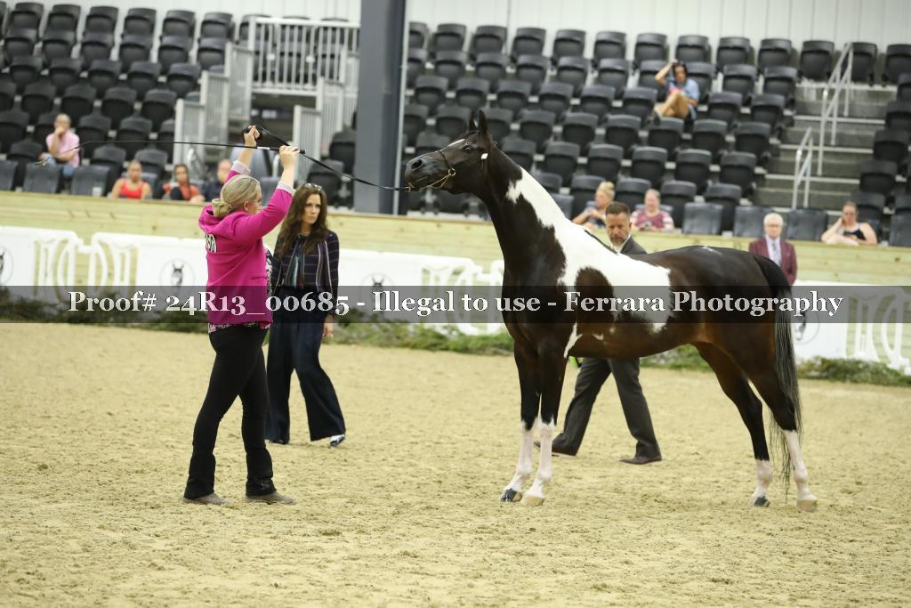 Proof 24R13_00685