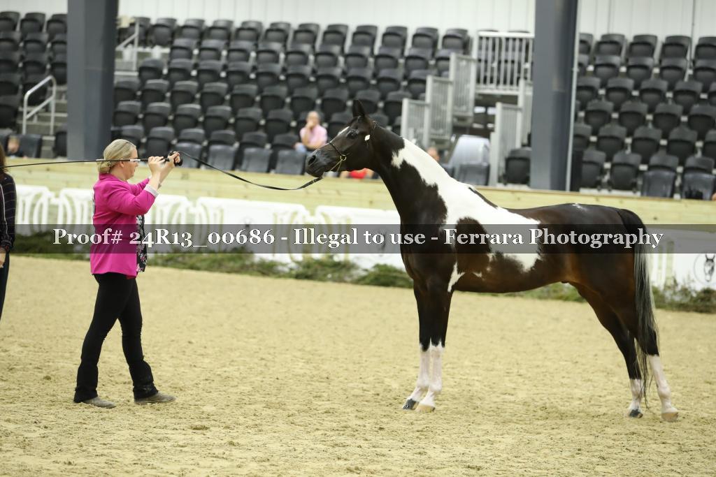 Proof 24R13_00686