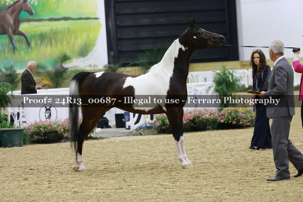 Proof 24R13_00687