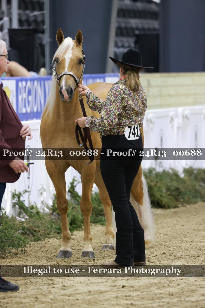 Proof 24R13_00688