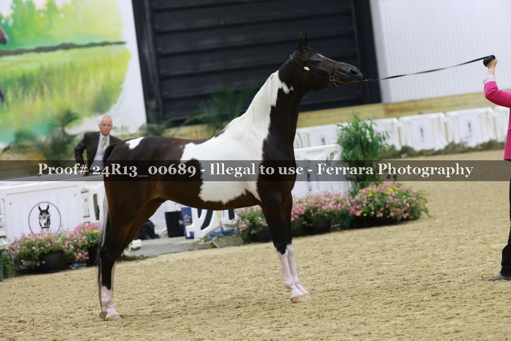Proof 24R13_00689