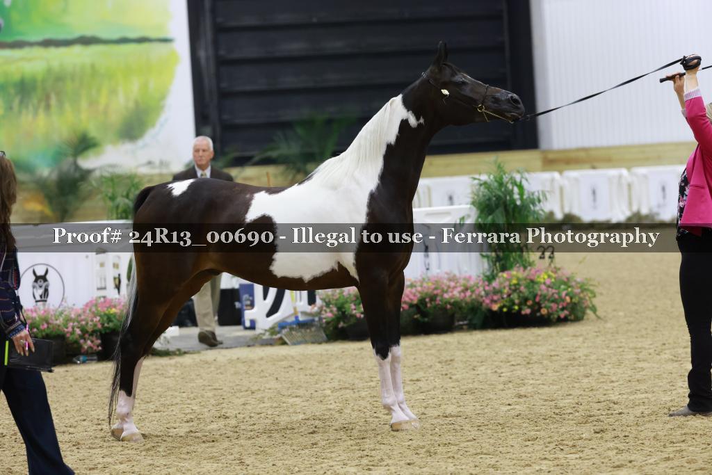 Proof 24R13_00690