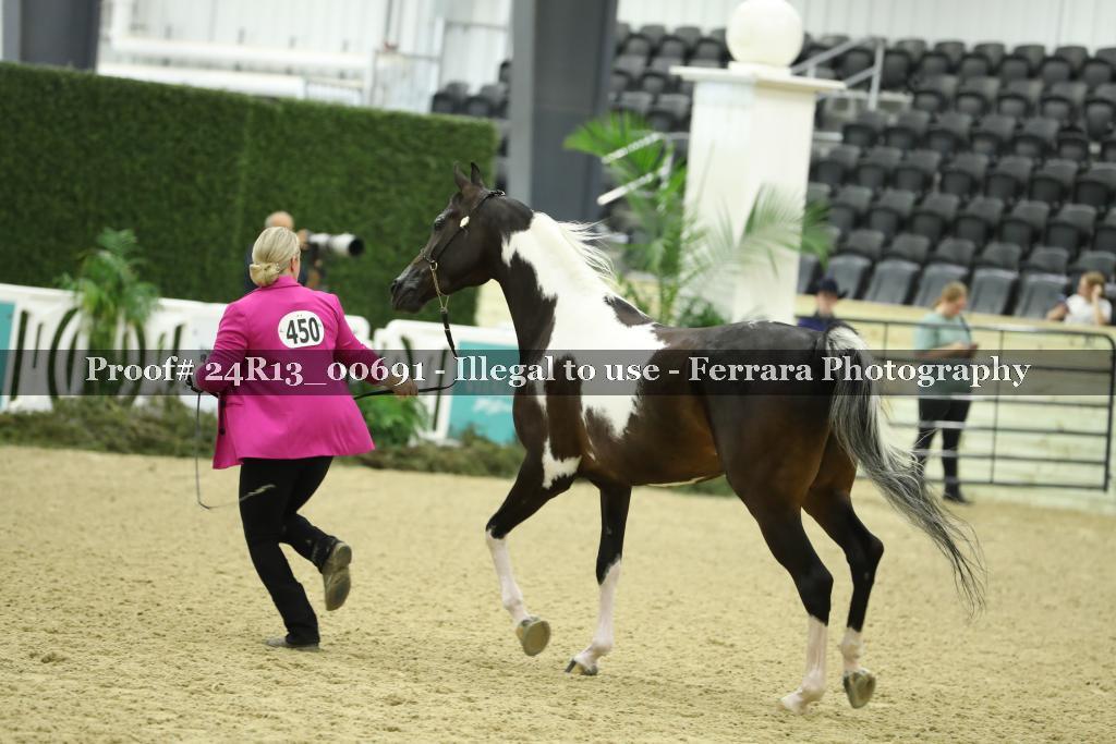 Proof 24R13_00691