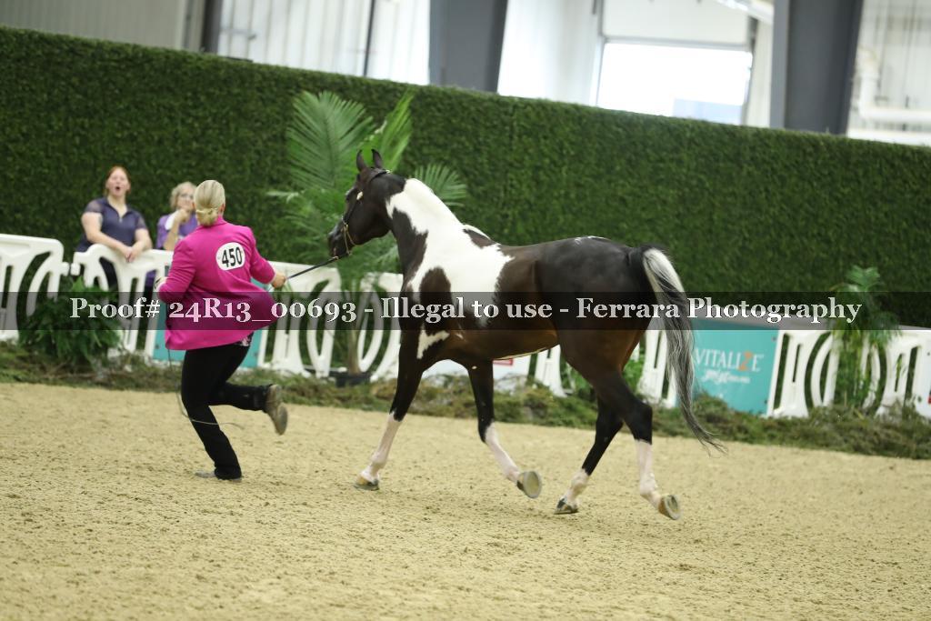 Proof 24R13_00693