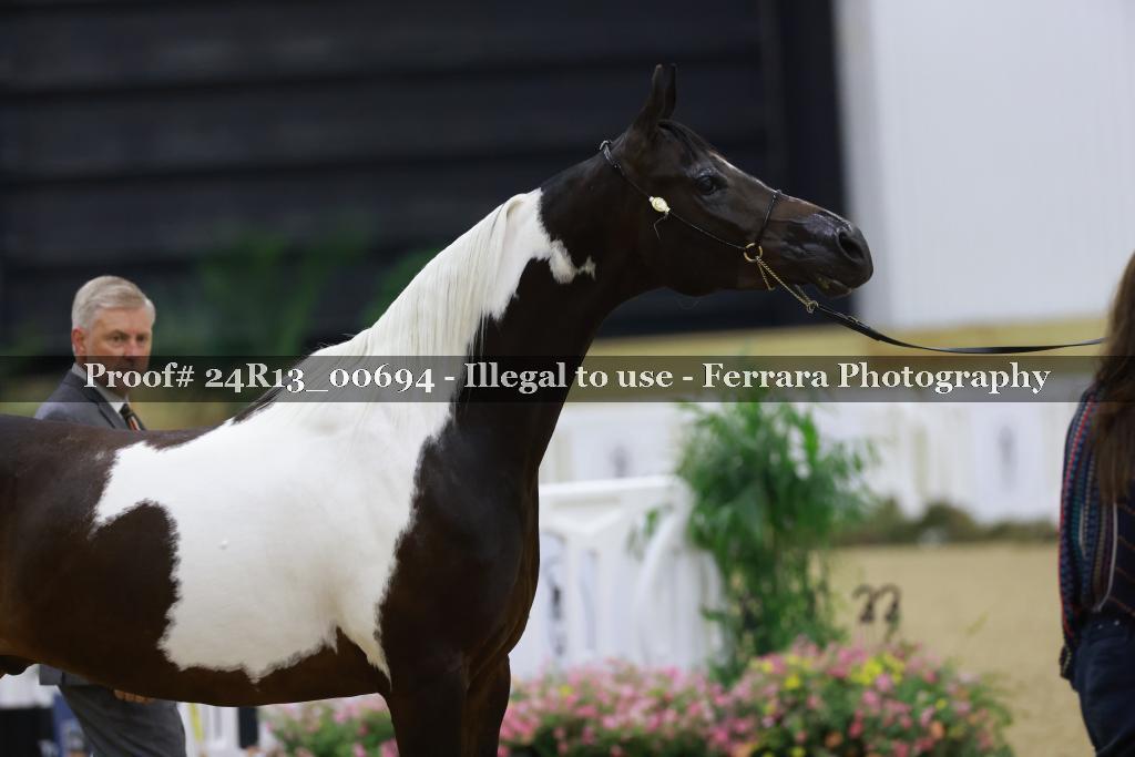 Proof 24R13_00694
