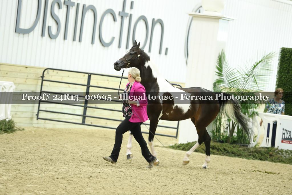 Proof 24R13_00695