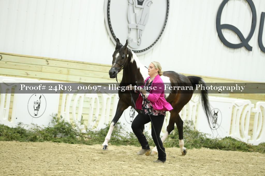 Proof 24R13_00697