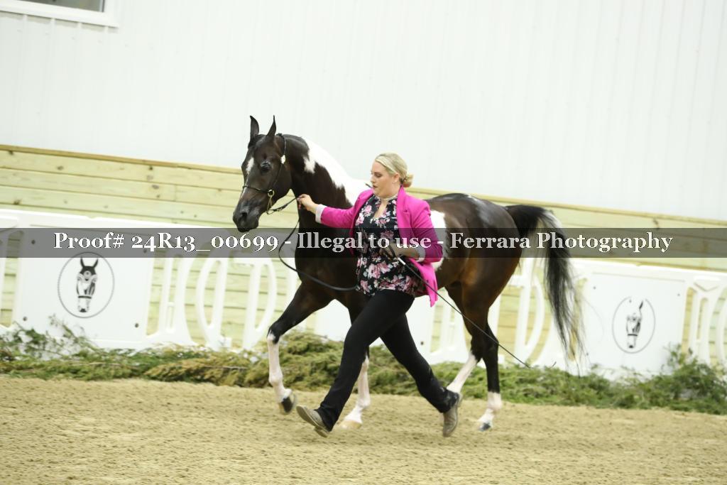 Proof 24R13_00699