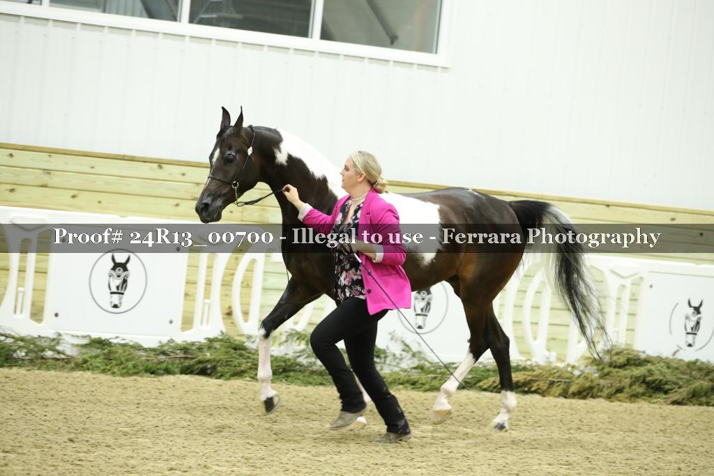 Proof 24R13_00700