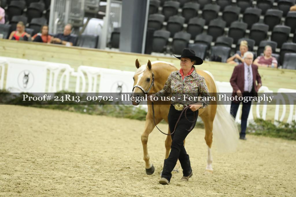 Proof 24R13_00702