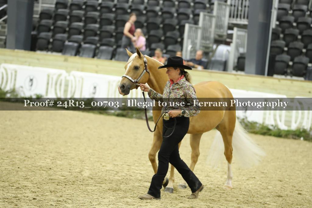 Proof 24R13_00703