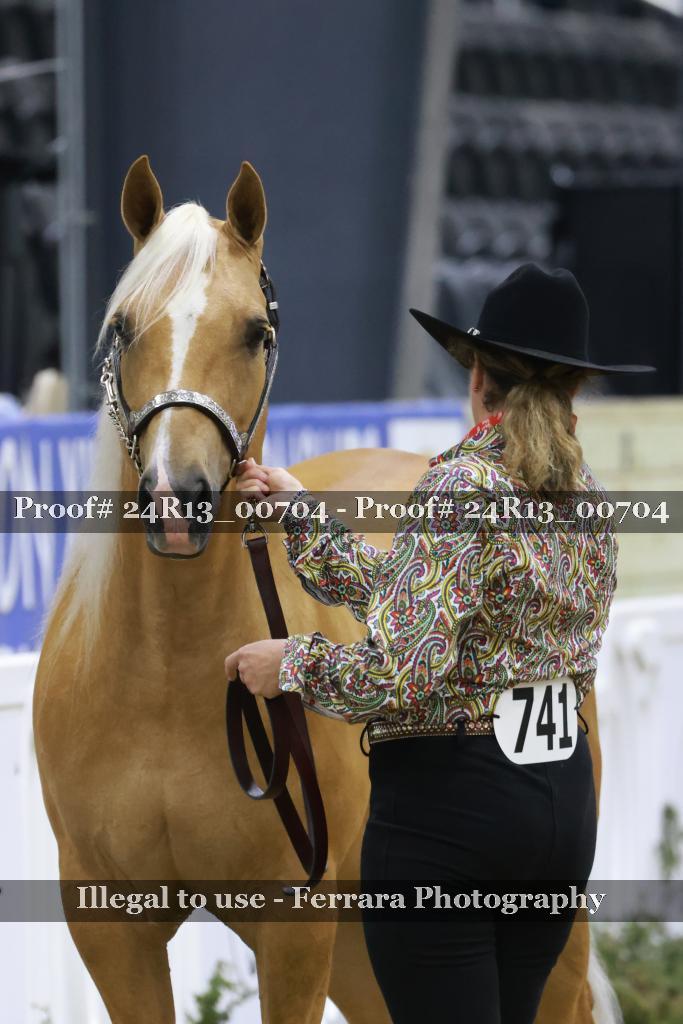 Proof 24R13_00704
