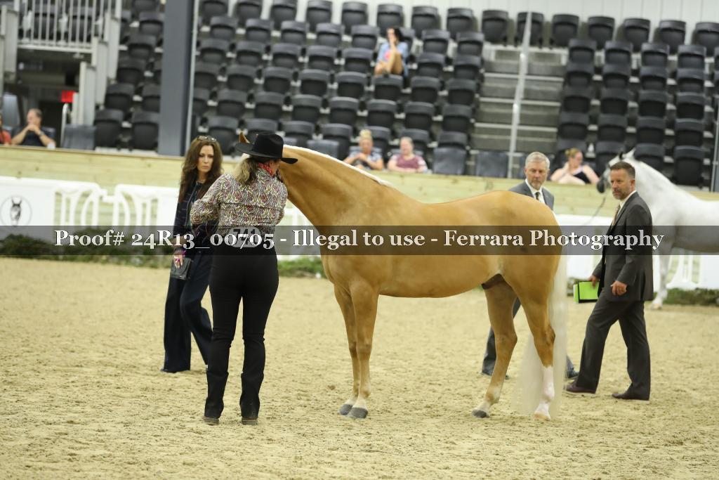 Proof 24R13_00705