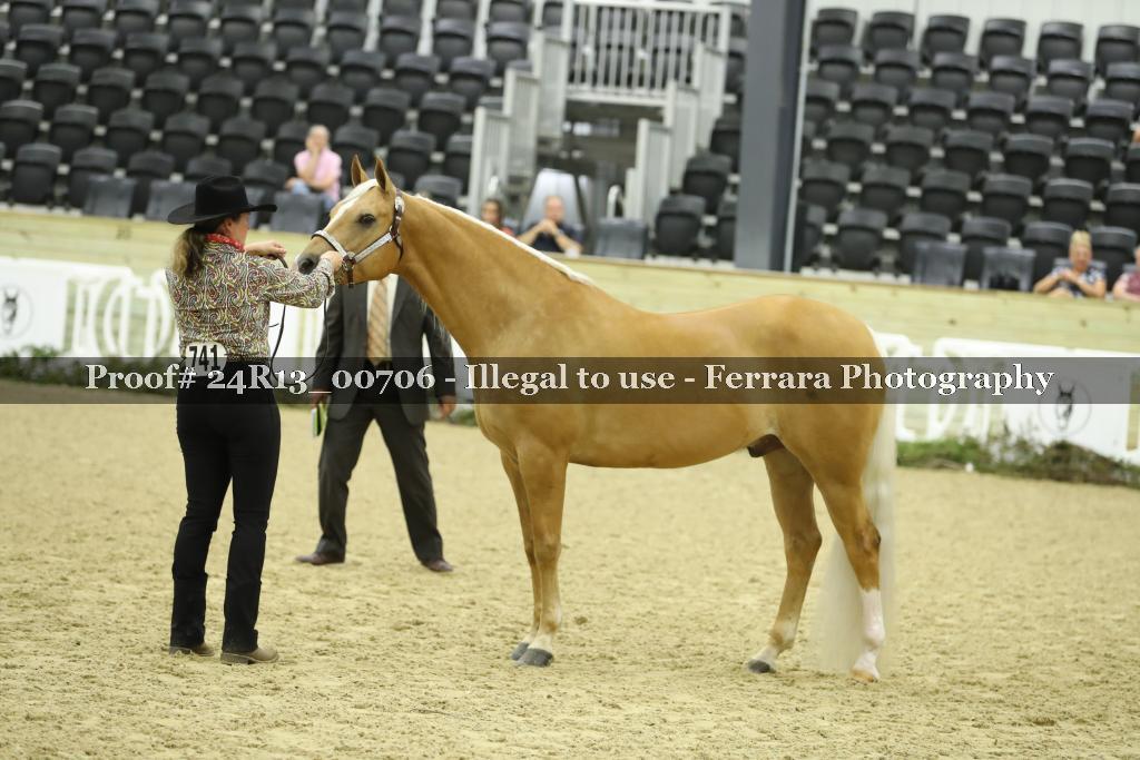Proof 24R13_00706