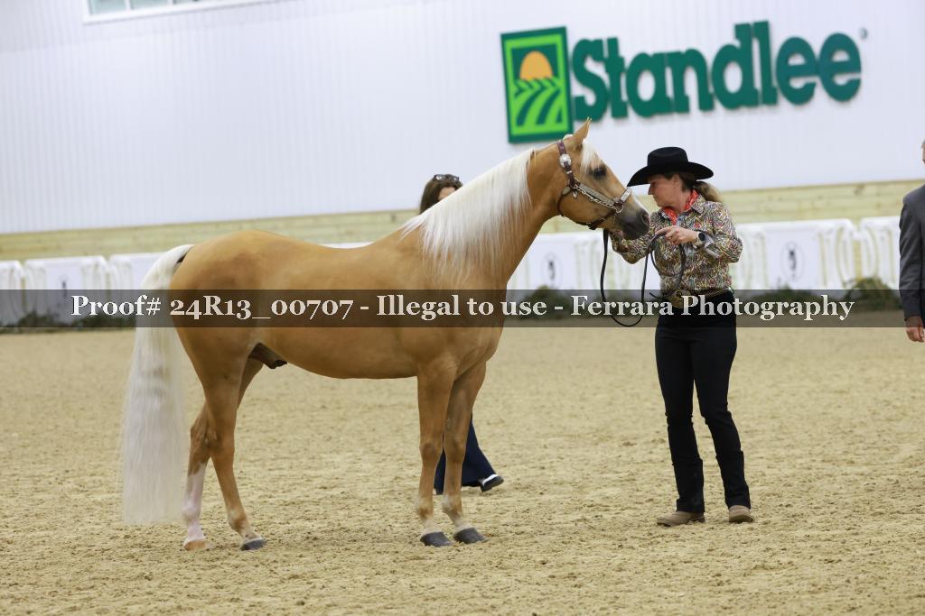 Proof 24R13_00707