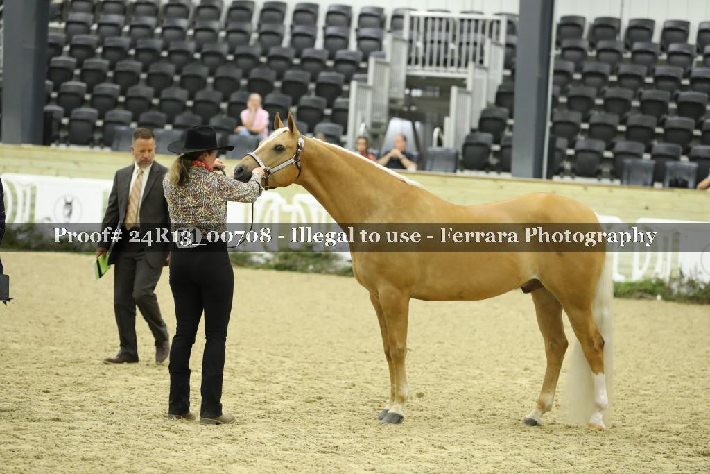 Proof 24R13_00708