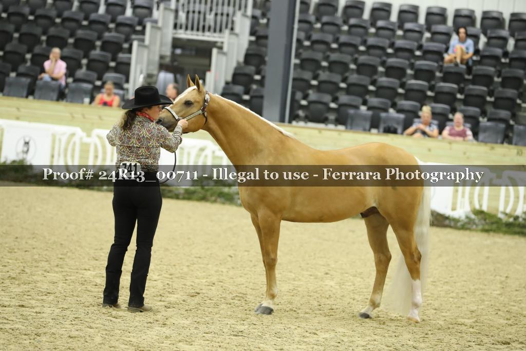 Proof 24R13_00711