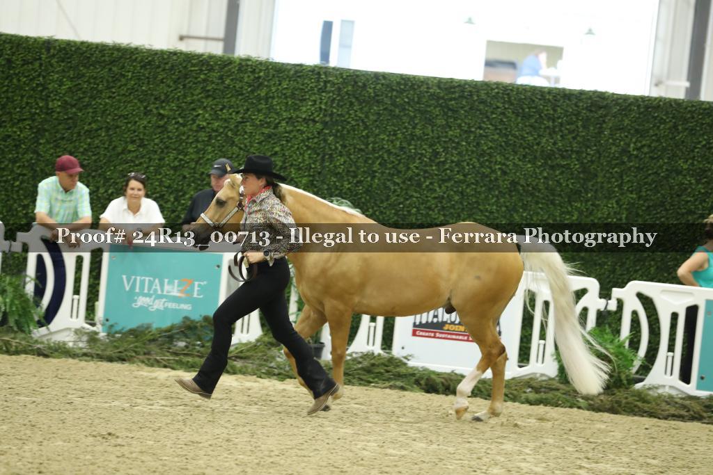 Proof 24R13_00713
