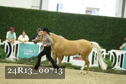 24R13_00713 proof