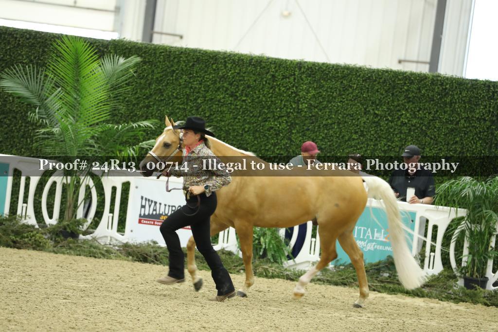 Proof 24R13_00714