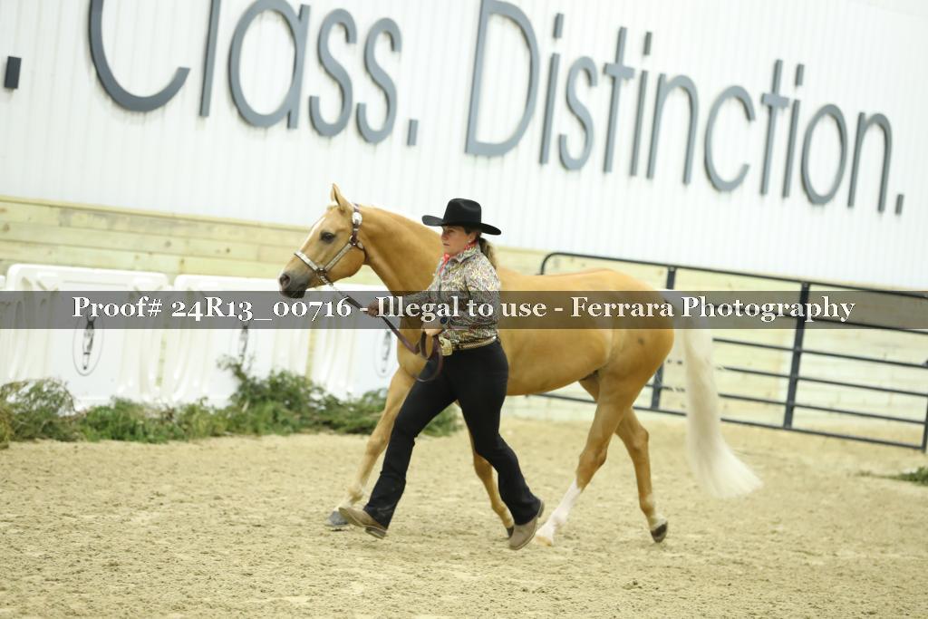 Proof 24R13_00716