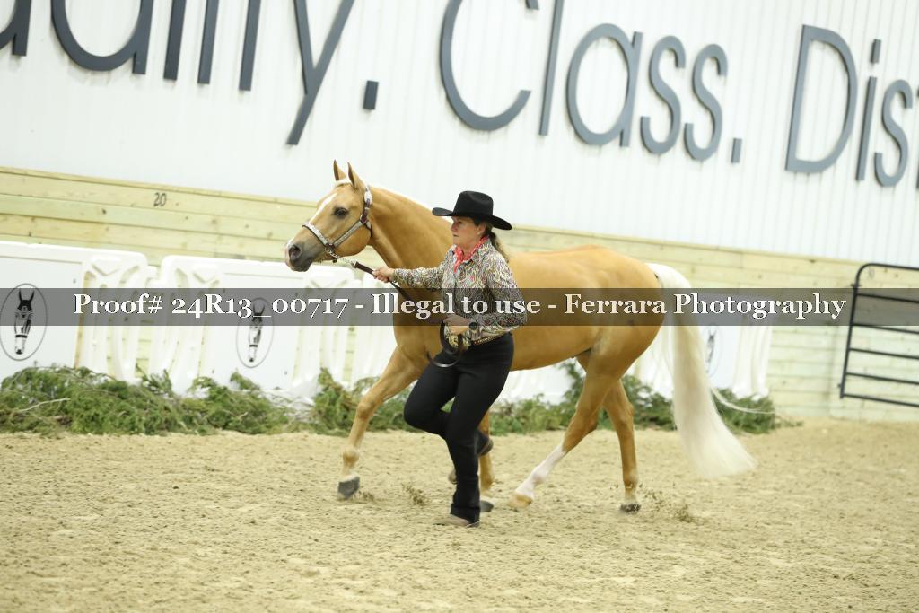 Proof 24R13_00717