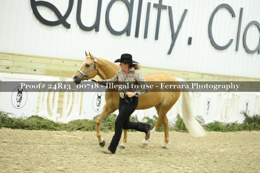 Proof 24R13_00718