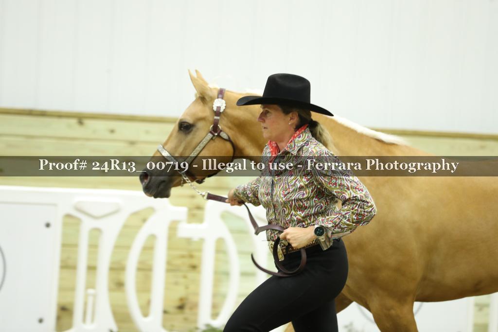 Proof 24R13_00719