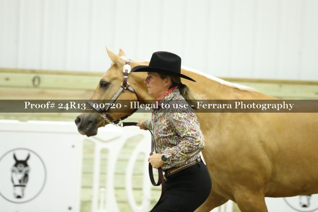 Proof 24R13_00720