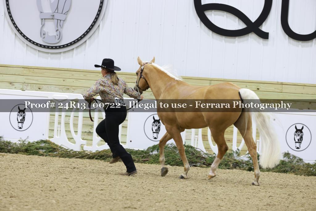 Proof 24R13_00722