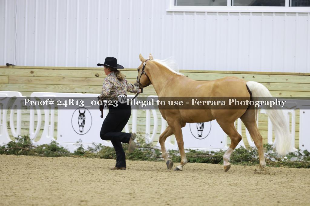 Proof 24R13_00723