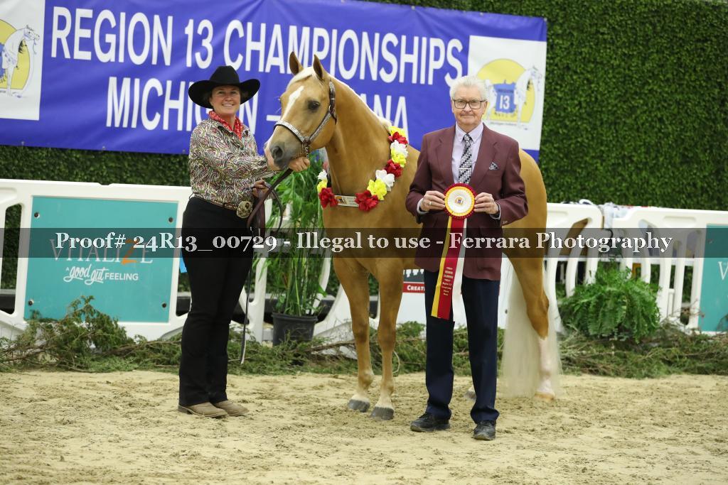 Proof 24R13_00729