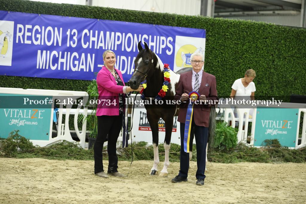 Proof 24R13_00734