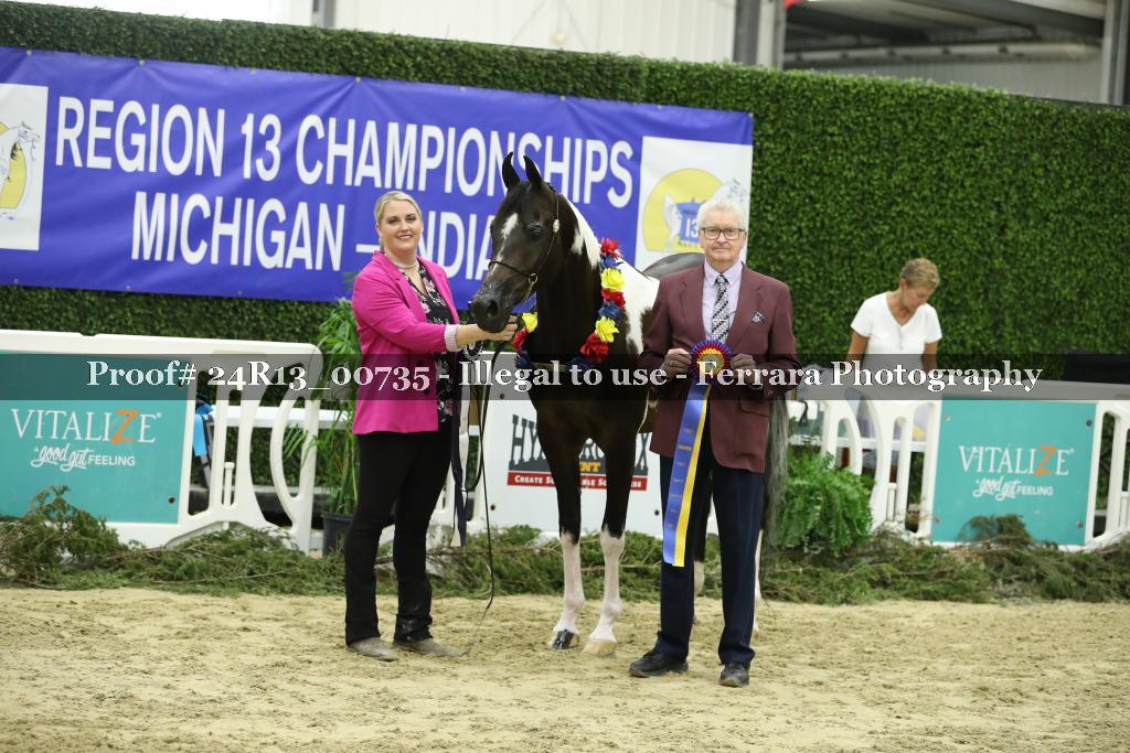 Proof 24R13_00735