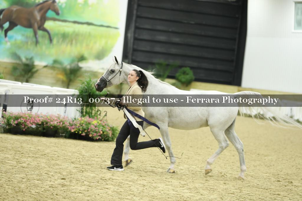 Proof 24R13_00737