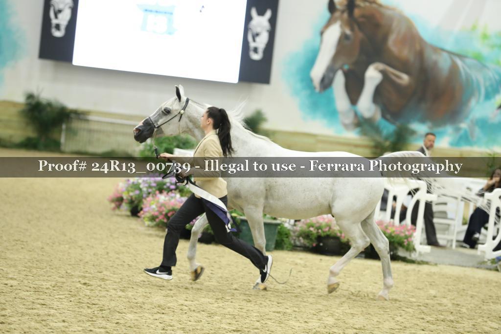 Proof 24R13_00739