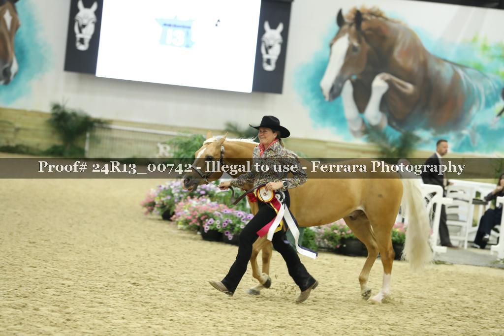 Proof 24R13_00742