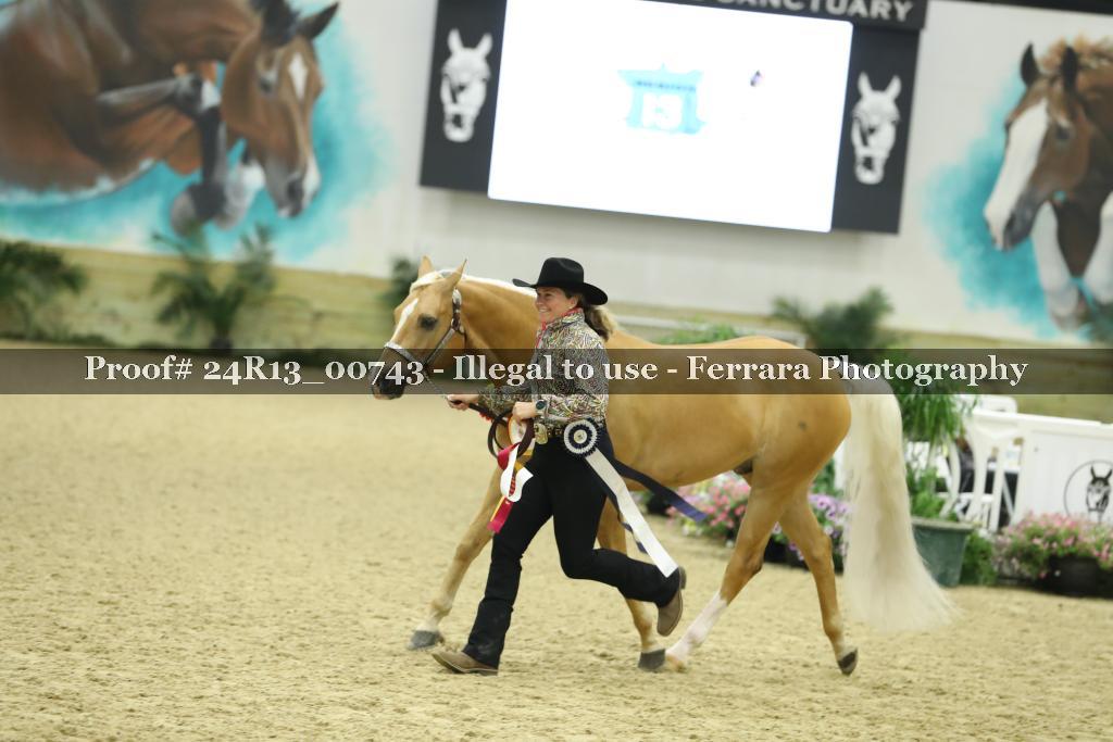 Proof 24R13_00743