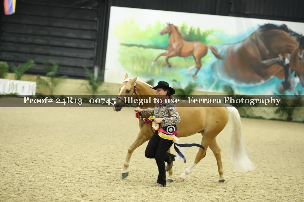 Proof 24R13_00745
