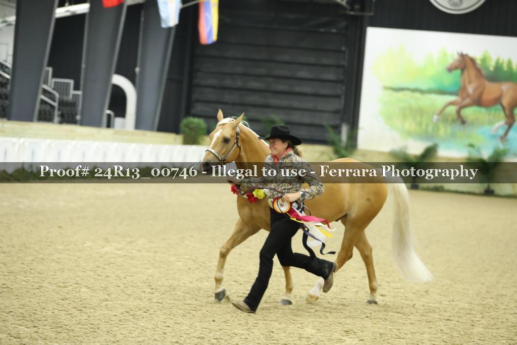 Proof 24R13_00746
