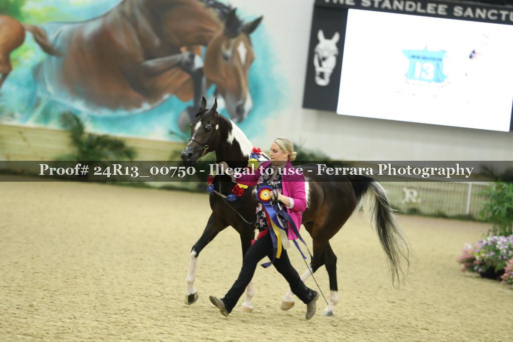 Proof 24R13_00750