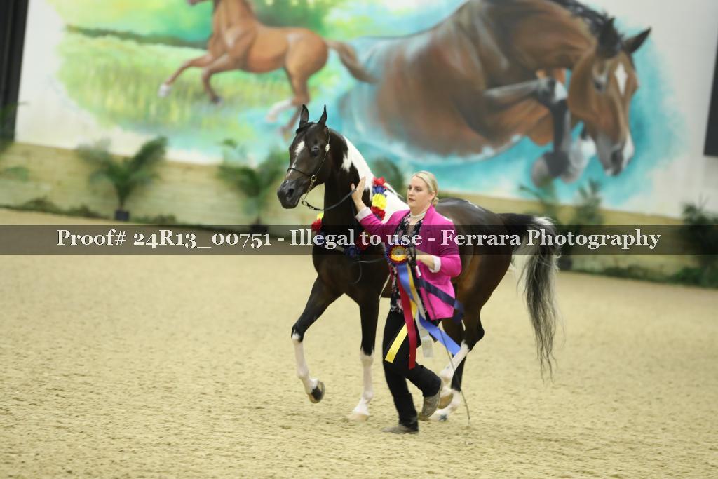 Proof 24R13_00751
