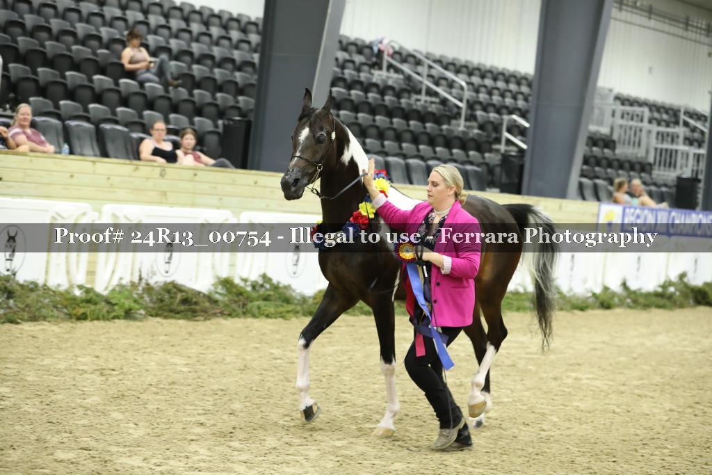 Proof 24R13_00754