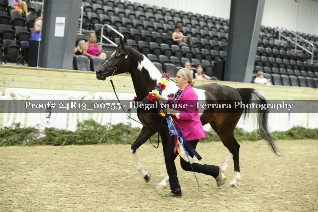 Proof 24R13_00755