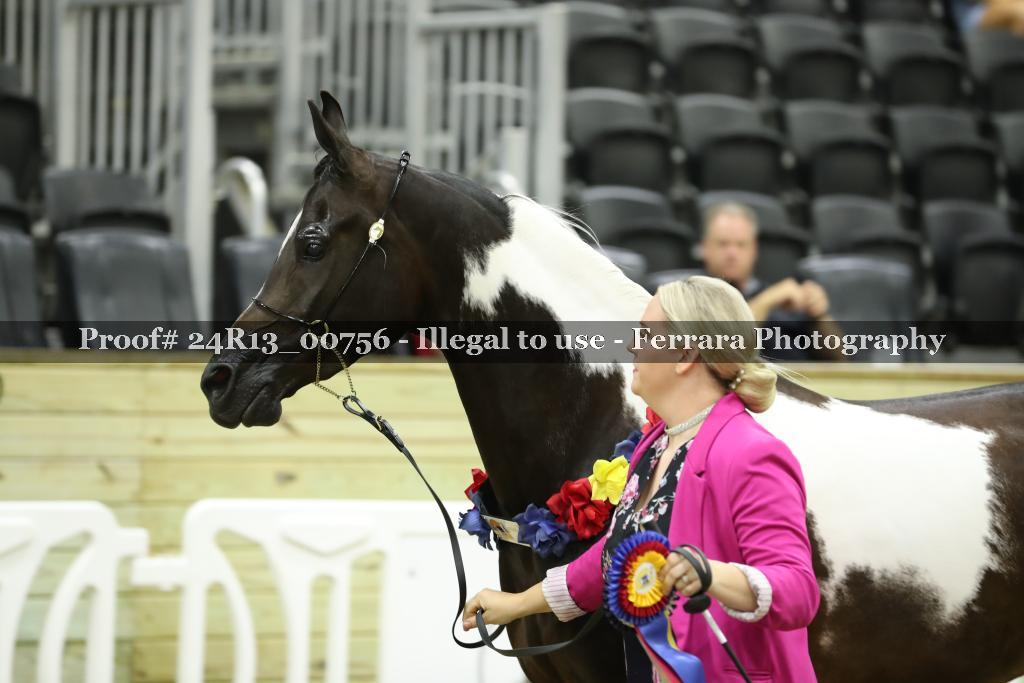 Proof 24R13_00756