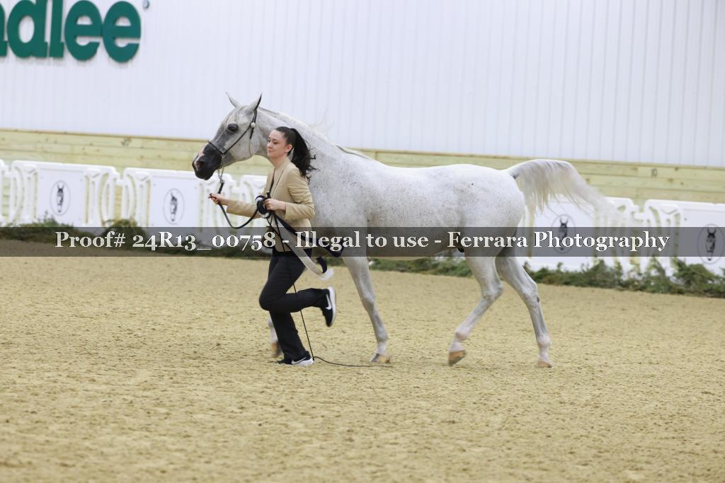 Proof 24R13_00758