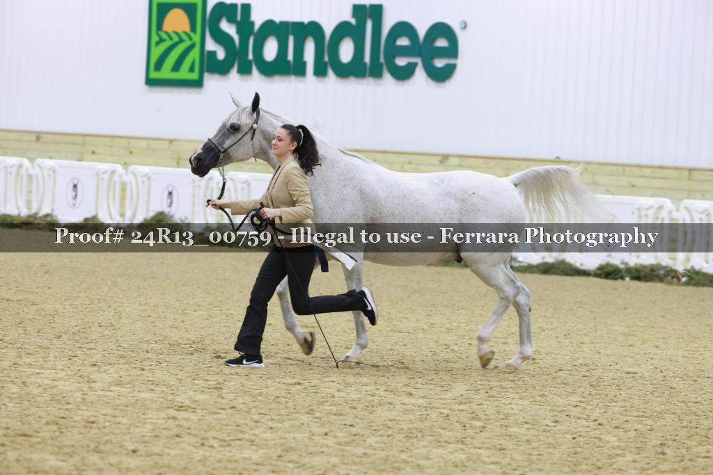 Proof 24R13_00759