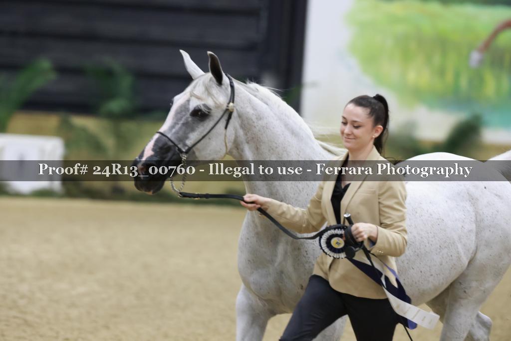 Proof 24R13_00760