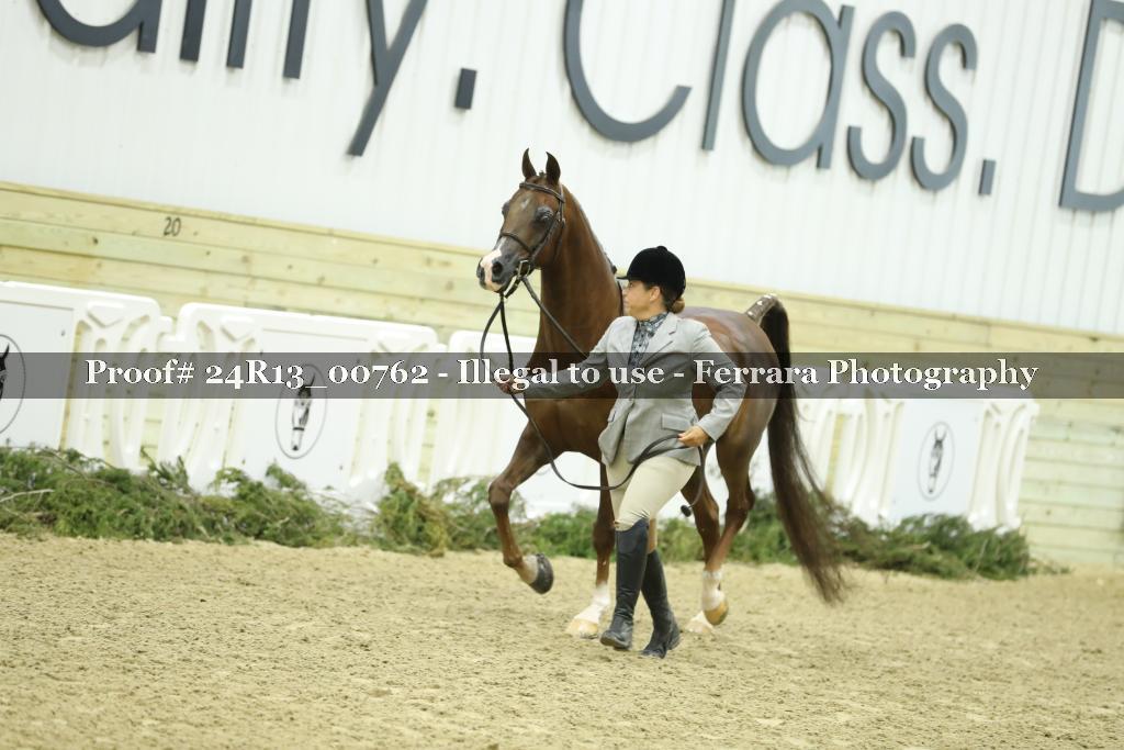 Proof 24R13_00762
